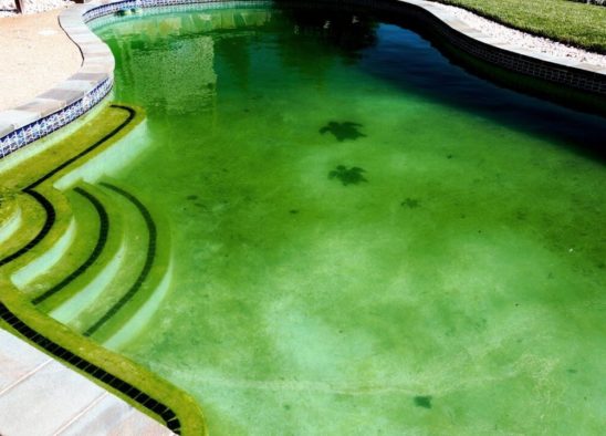 How to Clean a Green Pool Quickly in 5 Easy Steps