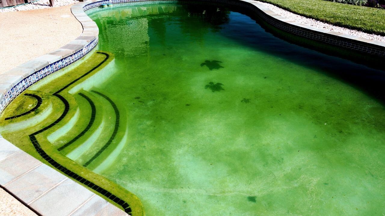 How to Clean a Green Pool Quickly in 5 Easy Steps